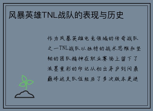 风暴英雄TNL战队的表现与历史