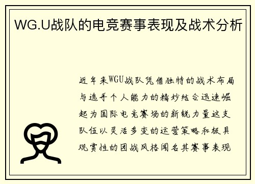WG.U战队的电竞赛事表现及战术分析