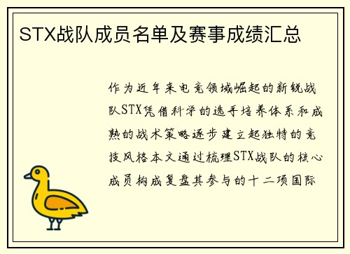 STX战队成员名单及赛事成绩汇总